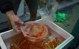 Đa dạng các 